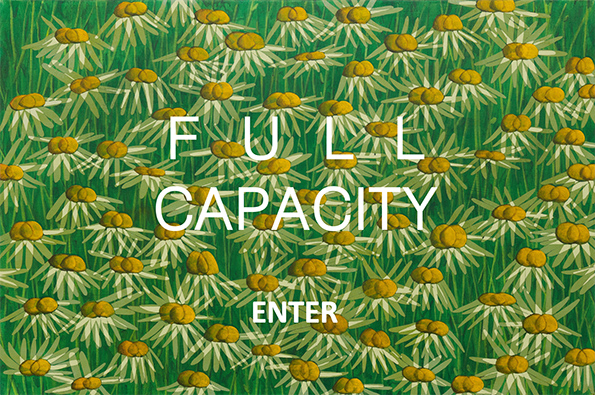 Enter the Full Capacity Virtual Reality Exhibit