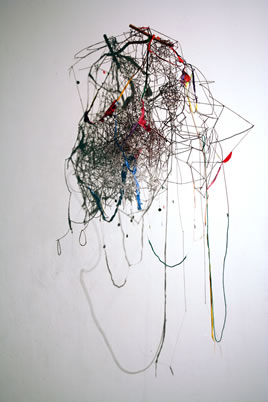 Benjamin DeMott, MFA 2008 installation